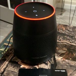 Astra Hartman/kardon Alexa speaker